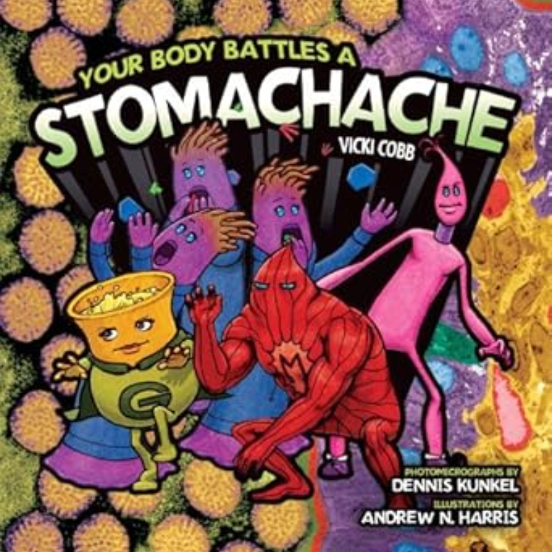 Your Body Battles a&nbsp;Stomachache
